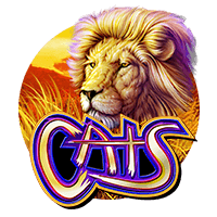 Jackpots game - Cats