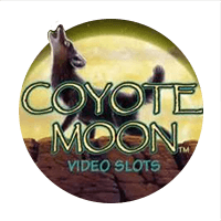 Live-Blackjack game - Coyote Moon